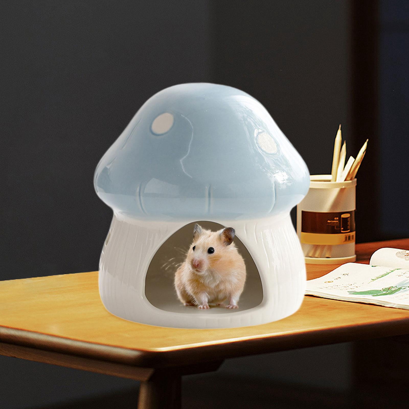 Bvdfgk Ceramic Hamster House Cave Creative Indoor Hideaway House Guinea Pig Hideout for Blue