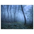 thumbnail image 2 of Trail Through Blue Fall Forest - Landscape Photo Canvas Art Print, 2 of 3
