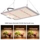 thumbnail image 4 of CA 100-305 V 1000 W 218 LED Brillo regulable, 4 of 8
