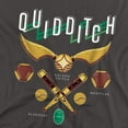 thumbnail image 3 of Harry Potter Quidditch Equipment Logo Kids T Shirt (Medium) for Youth Toddler Boys and Girls, Black, 3 of 5