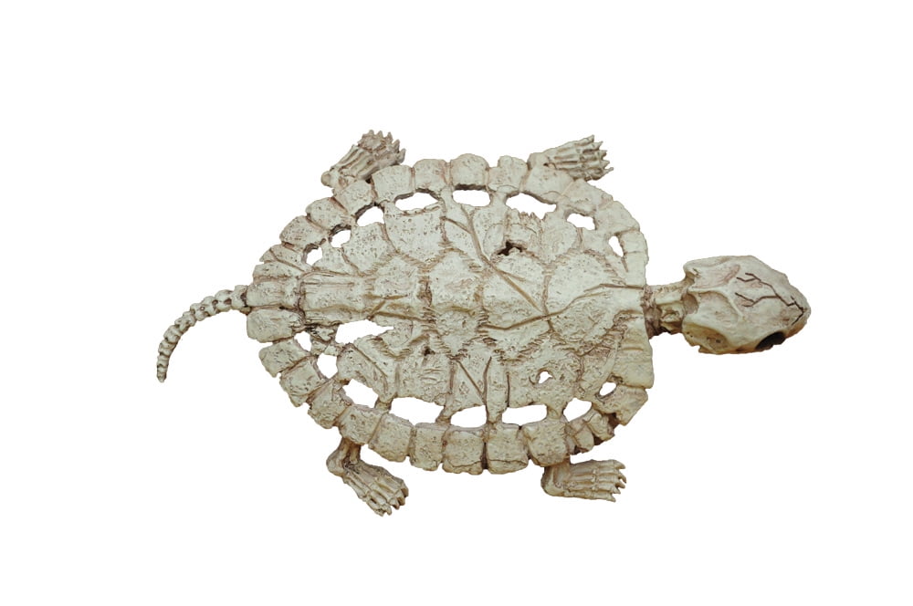 Skeleton Turtle Halloween Decoration