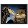thumbnail image 1 of Photo Barn Owl in Flight Bird Alba Graveyard Scotland Artwork Framed Wall Art Print A4, 1 of 4