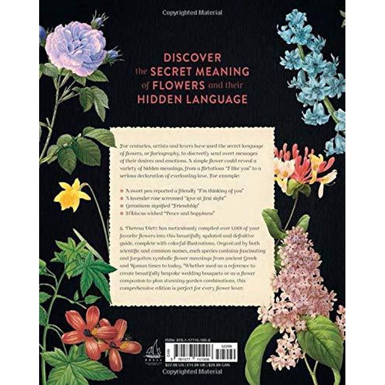 洋書 TER COMPLETE FLOWERS Amazon.com: Mapplethorpe: The Complete