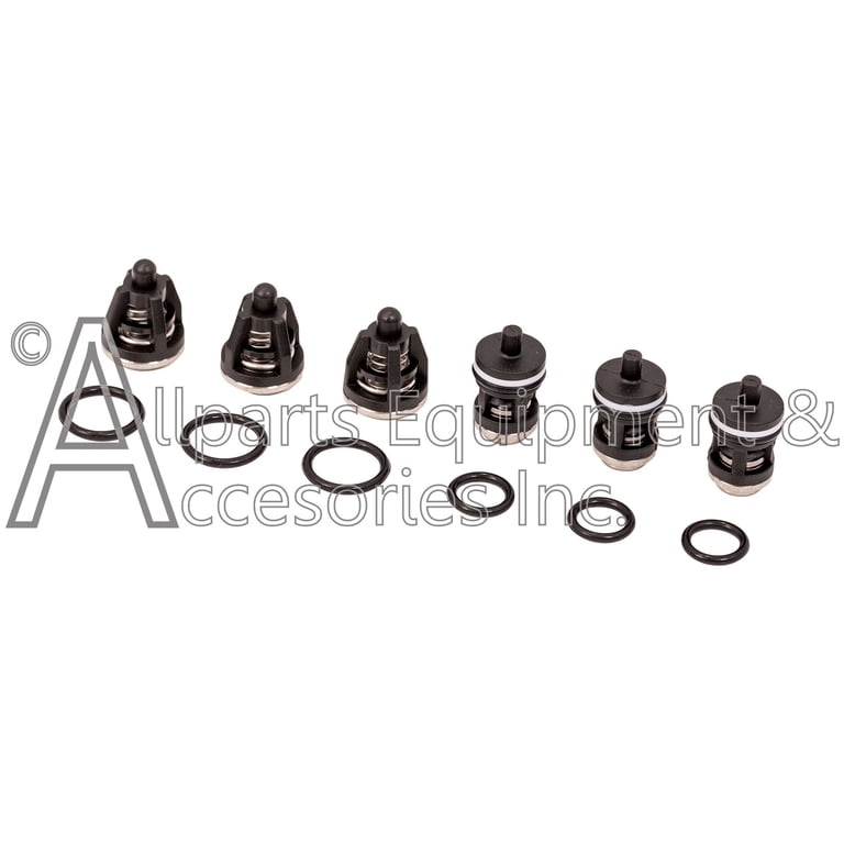 7109627 AAA Simpson Cleaning Check Valve Repair Kit (Set of 6) for