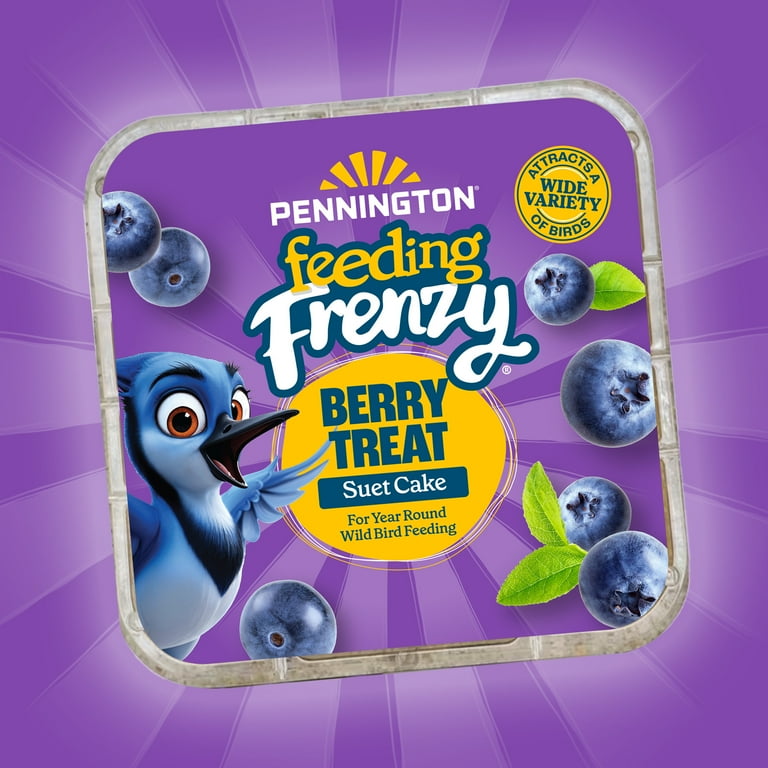 Pennington Feeding Frenzy Berry Treat Suet Cake, 11.75 oz, Suet