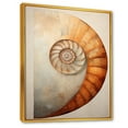 thumbnail image 2 of Designart "Curves Of Copper In Nautilus Spiral" Nautilus Floater Framed Canvas Wall Art, 2 of 5