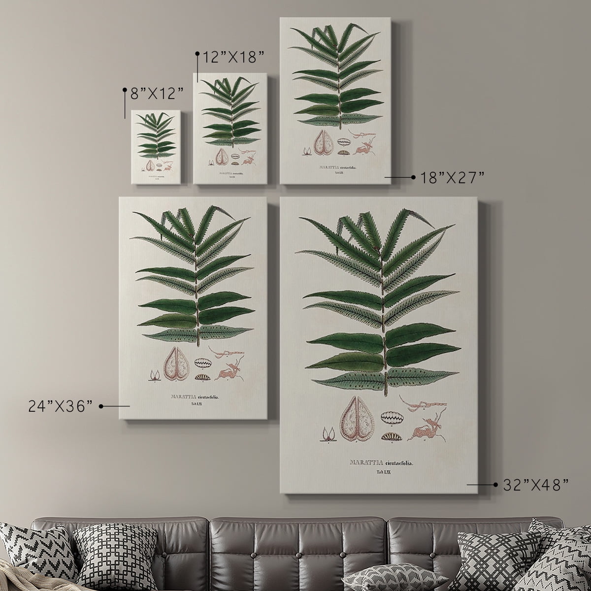 Botanical Society Ferns XII Premium Gallery Wrapped Canvas - Ready to Hang