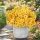 thumbnail image 3 of Flores Artificiales Jardín Exterior 7-cabezas, Plantas Decorativas Artificial, Hojas Realistas, Estilo Garden, Para Terraza, Resistente al Clima, Metal Frame, For Office,topliu, 3 of 7