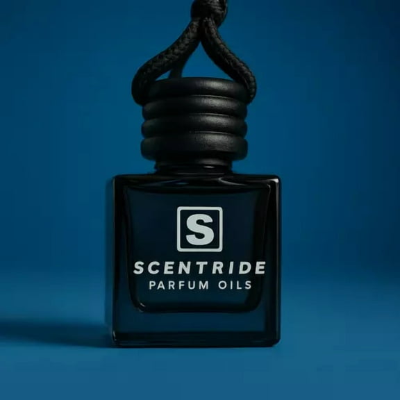 Car Diffuser | Air Freshener | Car Accessories | Car Freshies | Hanging Diffuser