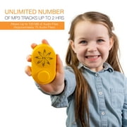 Friendly Songs Sound Module - 2 Hour Voice Box for Stuffed Animals and Projects - USBC