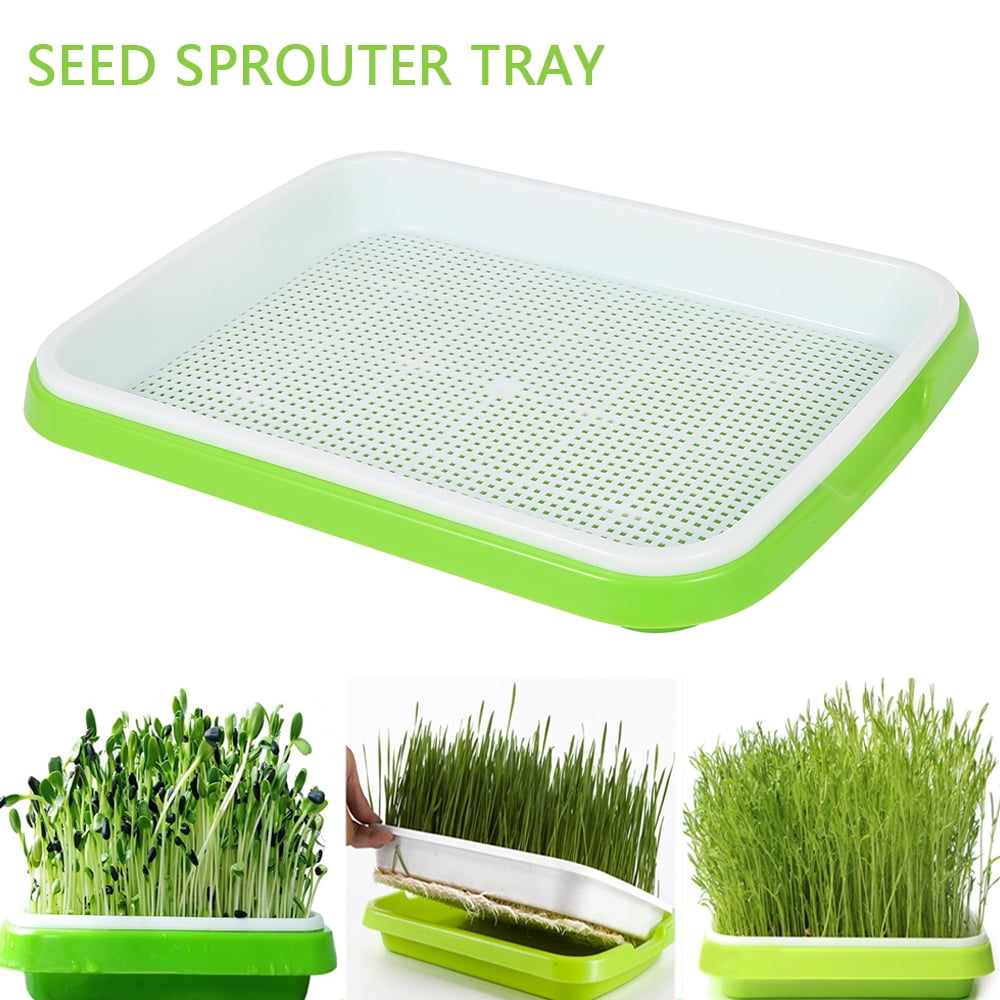4pcs DIY Nursery Site Water Planting Containers Soilless Sprouter Trays for Shop 