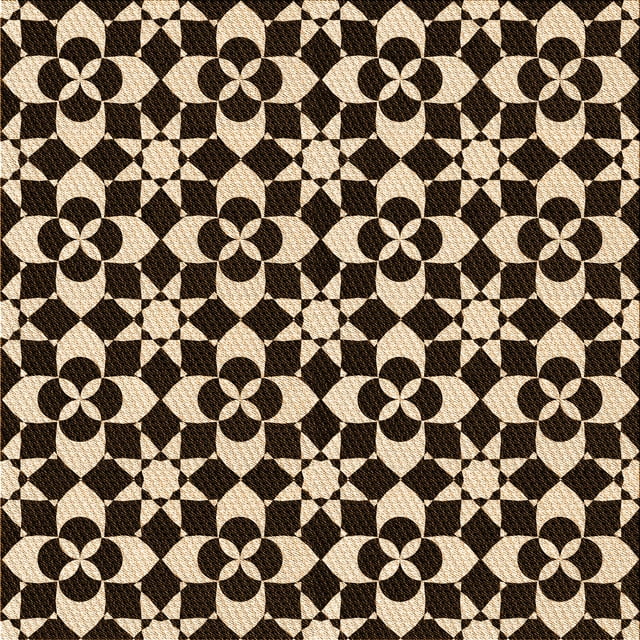 Ahgly Company Tapis d'Intérieur Lavable en Machine Carré Transitionnel Noir Brun, 5 Pieds Carré