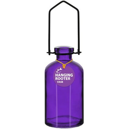 Winston Porter Nyasia Hanging Recycled Glass Rooting Wall Vase