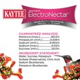 thumbnail image 4 of Kaytee Hummingbird Ready to Use Electro Nectar, 64-Ounce, 4 of 6