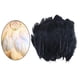 thumbnail image 4 of Cateissary 100x Chicken Satinettes Loose Feathers Craft DIY Wedding for Type3 NO3, 4 of 6