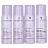 Style + Protect Wind Tossed Texture Finishing Spray 1.9oz (Set of 4)