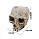 thumbnail image 3 of Skull Head Resin Planter, Halloween Decoration Retro Human Skull Head Flower Pot Planter, Skull Plant Pot Art Decor for, Cute Planters, 3 of 5