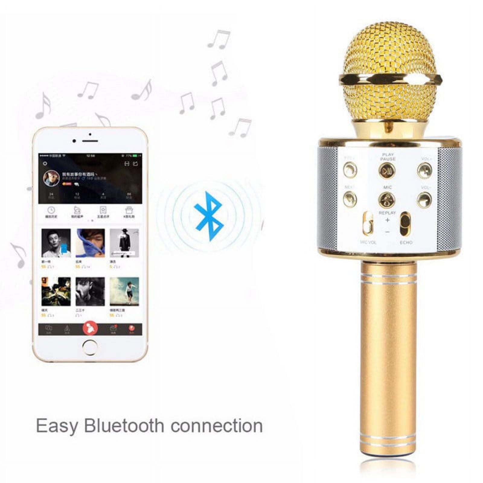 Micrófono Inalámbrico Bluetooth para Karaoke - WS858 – DShopOnline