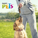 thumbnail image 2 of Yummy Sticks sabor carne Fancy Pets FL4503, 2 of 2