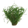 thumbnail image 3 of 4PCS Miniature Scene Simulation Trees for Architectural Model Landscape Scenery Train Railway Sand Table Scenery, 3 of 7