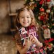 thumbnail image 4 of Novelty Toys Clearance Christmas Advent Countdown Decoration 24 Pieces Gift Christmas Acrylic Decoration And Keychain Surprise Christmas Favorites Countdown, 4 of 6