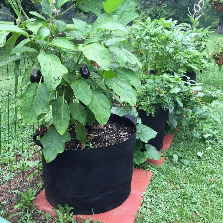 Lotfancy 5Pack 10 Gallon Grow Bags, Nonwoven Plant Fabric Pots,Garden Vegetable Planter Container, Size: 10 Gallon, 5 Pack, Black