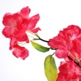 thumbnail image 2 of Rama de flores artificiales, ramo de flores artificiales, rama de flores artificiales, rama de flores artificiales para decoración, funcionalidad versátil, 2 of 8
