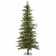 thumbnail image 1 of Vickerman A101881 8 Pi x 46 Po Sapin Shawnee Allumé 450CL, 1 of 5