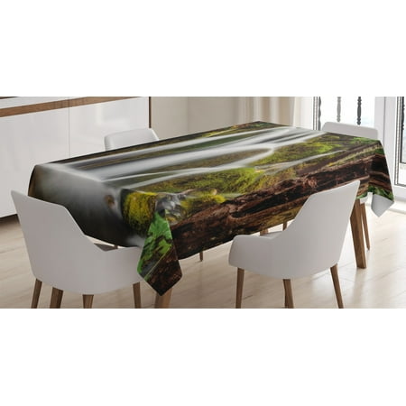 

Ambesonne Nature Tablecloth Rectangular Table Cover Waterfall Forest Cascade 52 x70 White Green