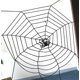 thumbnail image 2 of New Black Spider Web / Cobwebs for Decor CUTICAT Víspera de Todos los Santos, 2 of 7