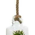 thumbnail image 5 of Vickerman 10" Artificial Green Assorted Succulents in Glass Jar., 5 of 6