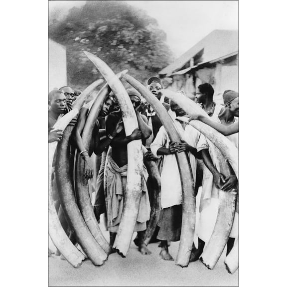 24"x36" Gallery Poster, Men with ivory tusks, Dar Es Salaam 1880-1923