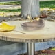 thumbnail image 4 of Comedero para abejas de madera de raíz: bebederos para mariposas, bebedero para pájaros, bandeja rústica para jardín, colibríes, ranas, decoración de jardín para exteriores., 4 of 7