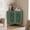 Green, variant on Retro Corner Cabinet With 2 Hollow Carved Doors And 2-Tier Shelves