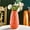 🔥 Orange_Base#2935, variant on Plastic Glazed Imitation Vase | Flower Arrangement Pot | Modern Decorative Plastic Vessel for Dried Blooms | Home Living Room TV Cabinet Accent | 25.5x9.5x7.5cm