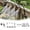 A, variant on 49FT Irrigation Kit - 360Â° Adjustable Mist Nozzles,Irrigation System with Timer and Low Pressure Automatic Watering System for Garden Patio Lawn