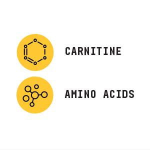 l-carnitine beyond raw Beyond Raw Labs (@beyondrawlabs) • Facebook
