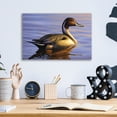 thumbnail image 4 of Epic Art 'Lone Pintail' by Mark Mueller Wildlife Art, Acrylic Glass Wall Art, 16"x12", 4 of 8