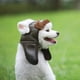 thumbnail image 4 of Gorro de aviador para perros - Talla M (marrón) - Gorro cortavientos para disfraz navideño de mascota, 4 of 5