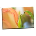 thumbnail image 2 of Gango Home Decor Yellow Roses I by Kathy Mahan (Ready to Hang); One 36x24in Hand-Stretched Canvas, 2 of 4