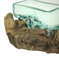 thumbnail image 5 of Rectangular Glass On Driftwood Decorative Bowl/Vase/Terrarium Succulent Planter, 5 of 5