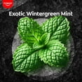 thumbnail image 4 of Pasta de dientes Colgate Charcoal Clean Bamboo Charcoal & Mint 120g, 4 of 8