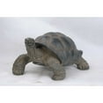 thumbnail image 5 of Hi-Line Gift Ltd Tortoise Statue - Large, 5 of 5