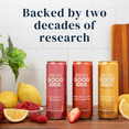 Sweden Raspberry Recipes GOOD IDEA Wild Raspberry Functional Sparkling Water – Supports Balanced ...