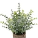 thumbnail image 5 of 2 piezas de plantas artificiales en maceta para interior, adorno para boda al aire libre Pequeño Eucalipto+Eucalipto, 5 of 9