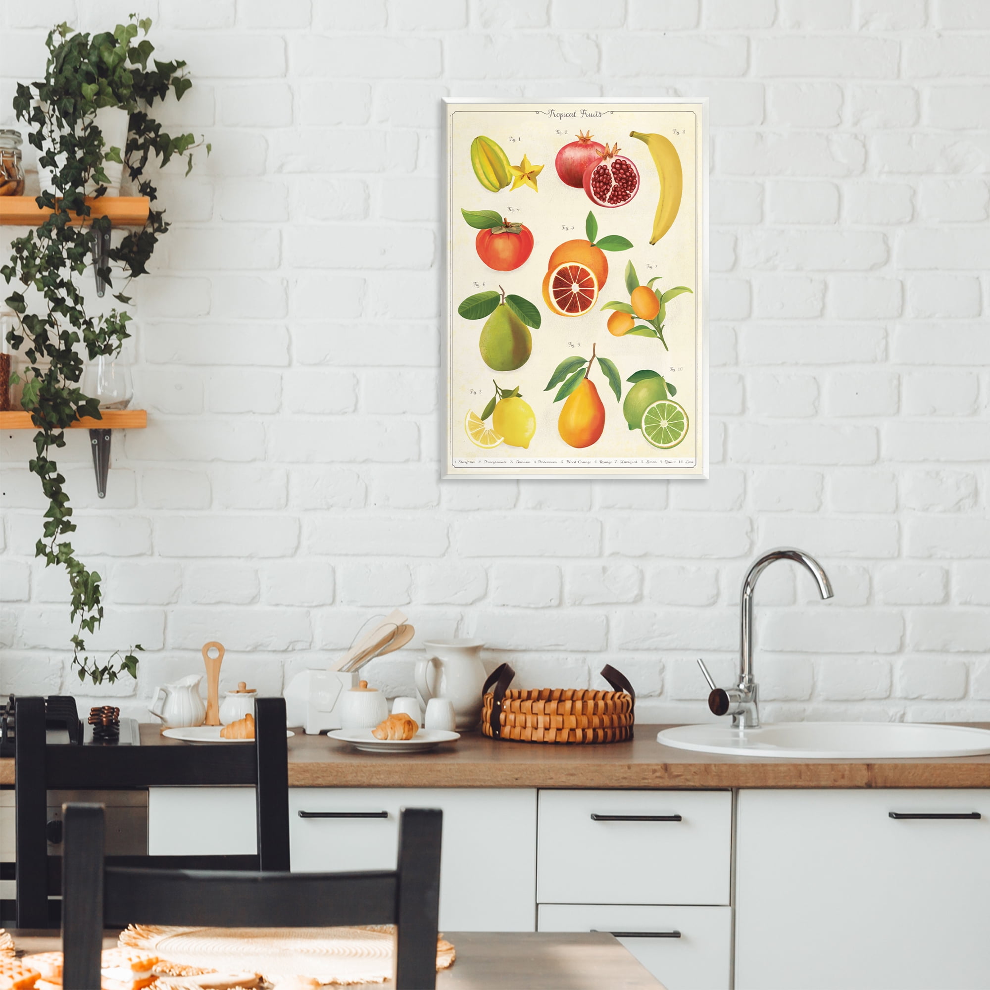 Stupell Industries Vintage Tropical Fruit Studies Wall Plaque Art, design by Diane Neukirch
