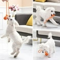 thumbnail image 2 of Pet Ball Toy With Rope Bite Resistant Chew Toy Teeth Cleaning Toys Outdoor Traning Pet Accessories, 2 of 7