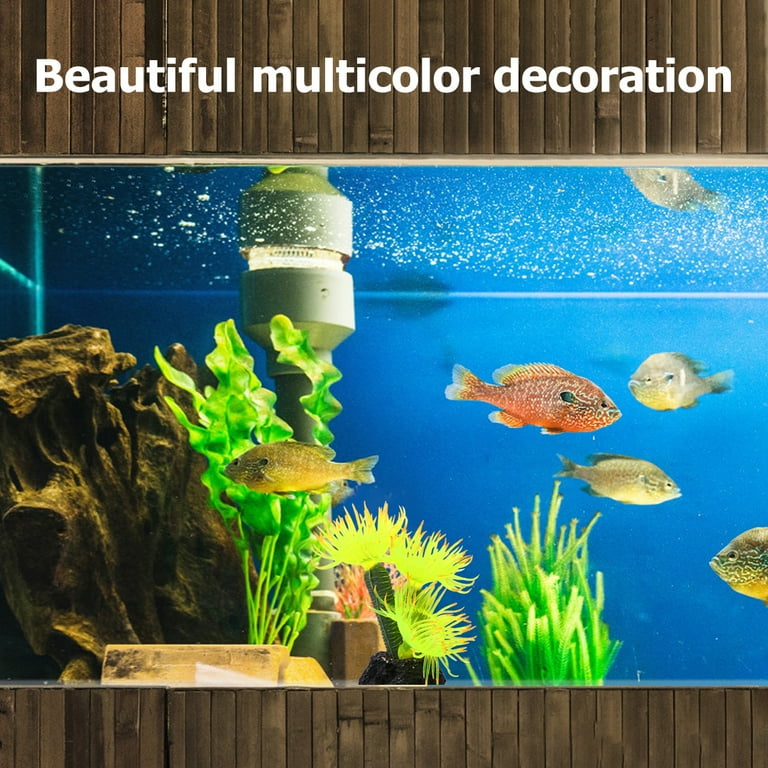 Sand Substrate For Goldfish