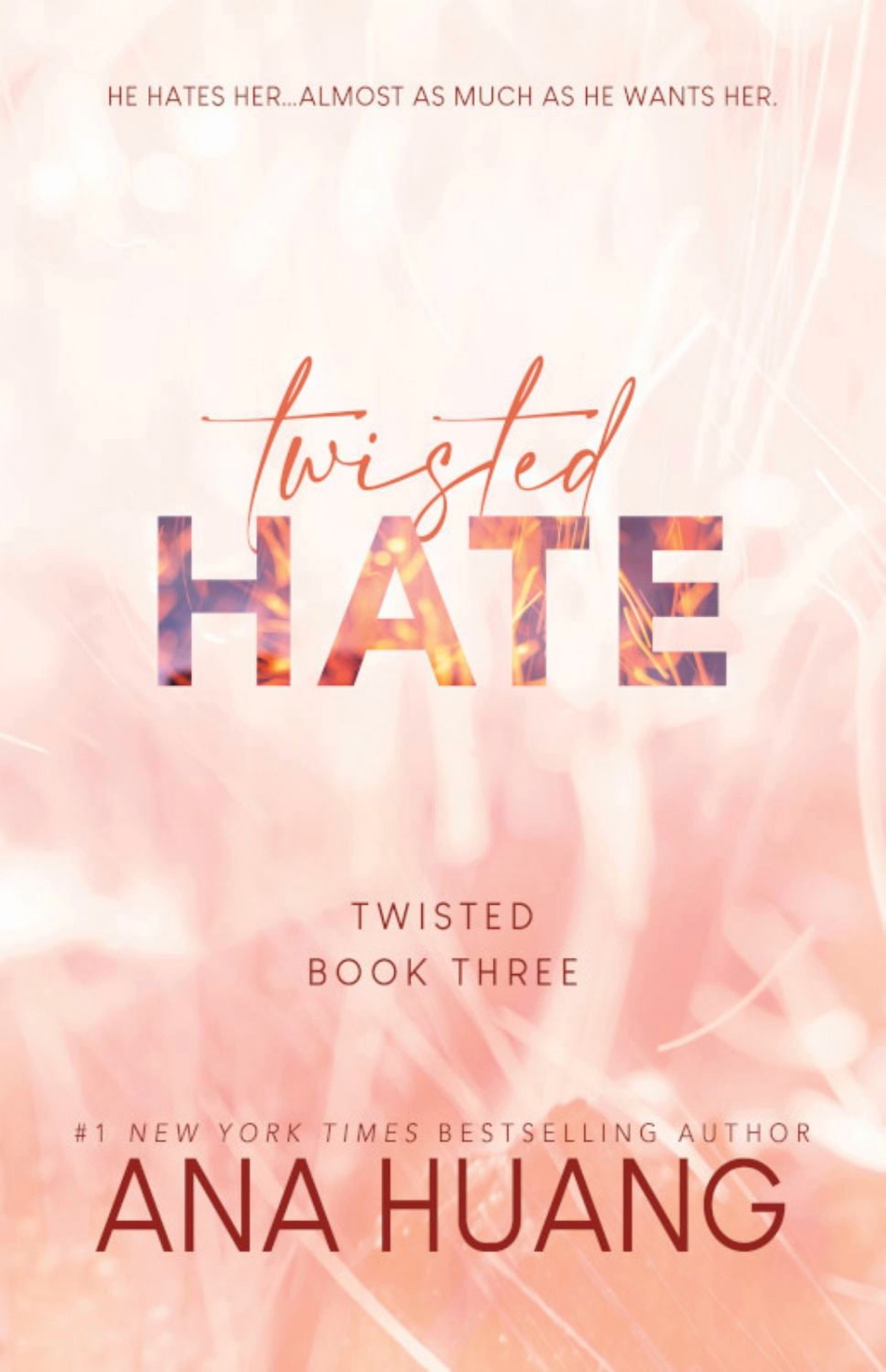 Twisted Hate (Paperback)