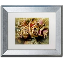 Trademark Fine Art "Painted Old Roses" Canvas Art by Lois Bryan White Matte, Silver Frame